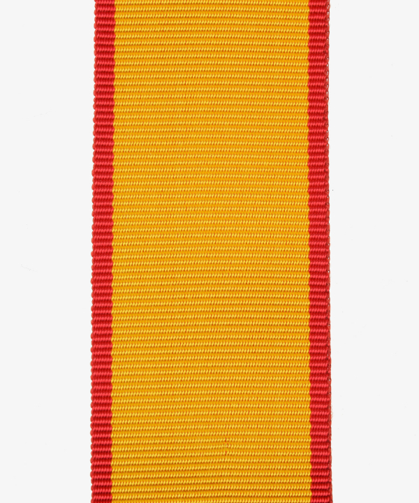 Mecklenburg-Schwerin, Griffin Order, Knight's Cross, Commemorative Medal (129)